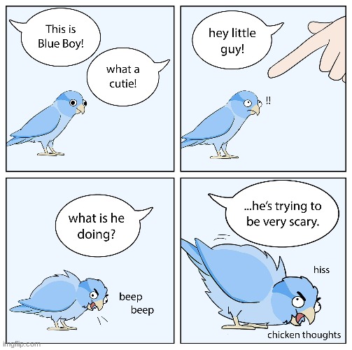 blue boy very scary | image tagged in blue boy,chicken thoughts | made w/ Imgflip meme maker