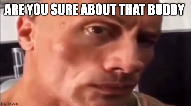 the rock eyebrow | ARE YOU SURE ABOUT THAT BUDDY | image tagged in the rock eyebrow | made w/ Imgflip meme maker