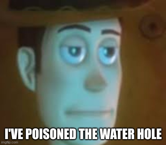 disappointed woody | I'VE POISONED THE WATER HOLE | image tagged in disappointed woody | made w/ Imgflip meme maker