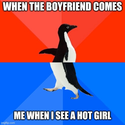 hello...bye... | WHEN THE BOYFRIEND COMES; ME WHEN I SEE A HOT GIRL | image tagged in memes,socially awesome awkward penguin | made w/ Imgflip meme maker