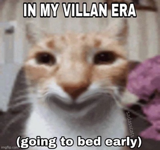 Cat. | image tagged in cat,memes,meme,funny,funny memes,funny meme | made w/ Imgflip meme maker
