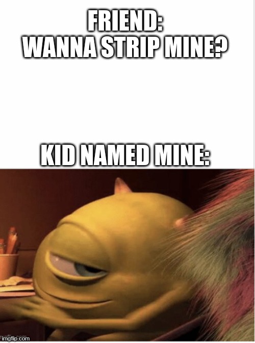 FRIEND: WANNA STRIP MINE? KID NAMED MINE: | image tagged in sus | made w/ Imgflip meme maker