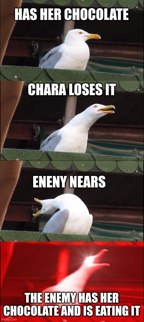 Chara's chocolate | HAS HER CHOCOLATE; CHARA LOSES IT; ENENY NEARS; THE ENEMY HAS HER CHOCOLATE AND IS EATING IT | image tagged in memes,inhaling seagull,chara,chocolate | made w/ Imgflip meme maker