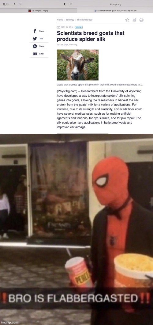 *real shit based on true events* | image tagged in bro is flabbergasted,spider-goat,spiderman,funny,dark humor,real | made w/ Imgflip meme maker