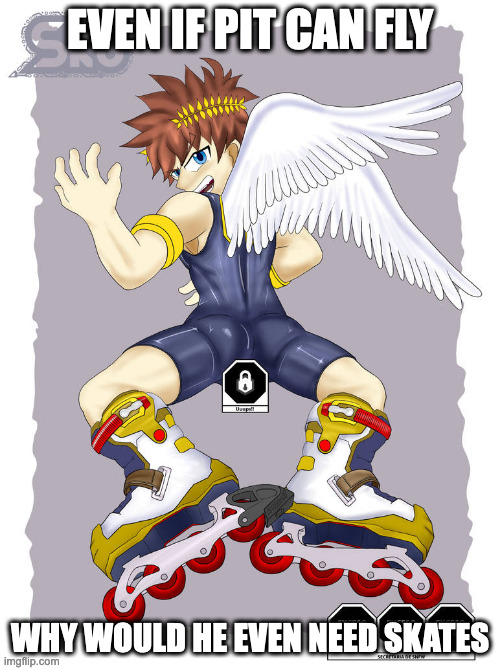 Pit With Skates | EVEN IF PIT CAN FLY; WHY WOULD HE EVEN NEED SKATES | image tagged in pit,skates,kid icarus,memes | made w/ Imgflip meme maker