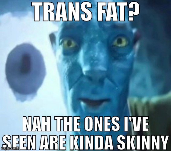 Avatar guy | TRANS FAT? NAH THE ONES I'VE SEEN ARE KINDA SKINNY | image tagged in avatar guy | made w/ Imgflip meme maker
