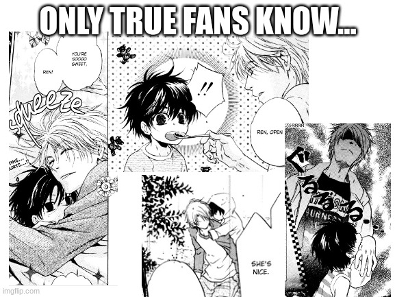 only true fans know... | ONLY TRUE FANS KNOW... | image tagged in blank white template,super lovers | made w/ Imgflip meme maker