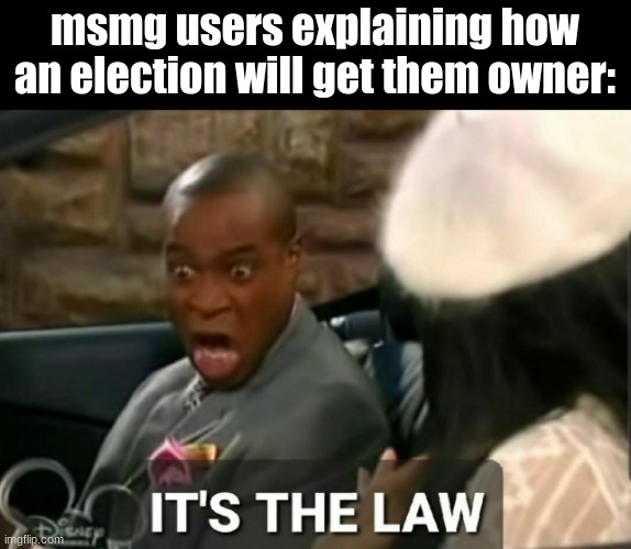 It's the law | msmg users explaining how an election will get them owner: | image tagged in it's the law | made w/ Imgflip meme maker