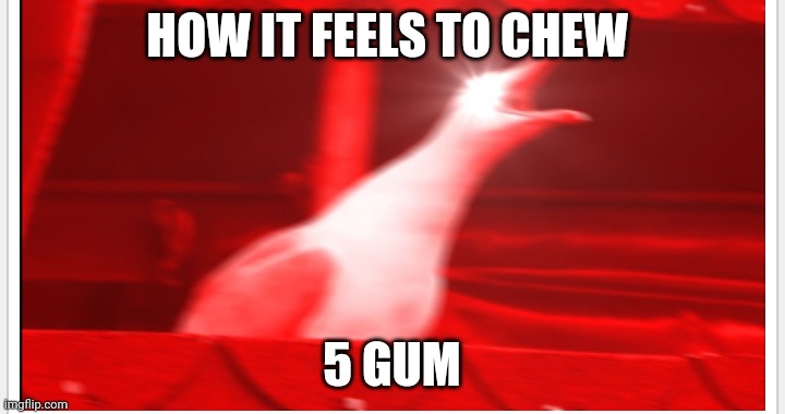 How it feels to chew 5 gum | HOW IT FEELS TO CHEW; 5 GUM | image tagged in screaming bird,5 gum | made w/ Imgflip meme maker