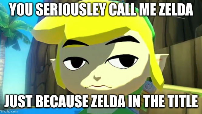 Why does everybody call Link, Zelda | YOU SERIOUSLEY CALL ME ZELDA; JUST BECAUSE ZELDA IN THE TITLE | image tagged in zelda,link | made w/ Imgflip meme maker