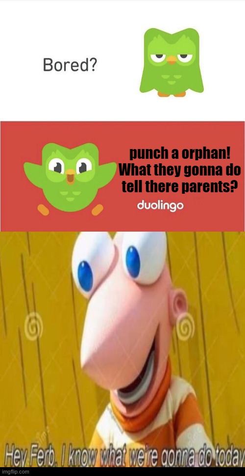im gonna go do this now | punch a orphan! What they gonna do tell there parents? | image tagged in duolingo bored,dark humor | made w/ Imgflip meme maker