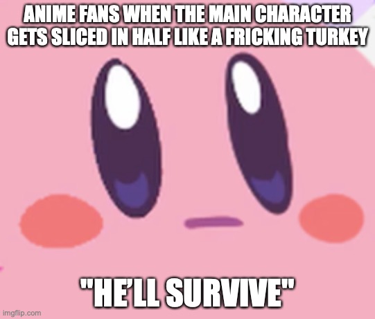 Blank Kirby Face | ANIME FANS WHEN THE MAIN CHARACTER GETS SLICED IN HALF LIKE A FRICKING TURKEY; "HE’LL SURVIVE" | image tagged in blank kirby face | made w/ Imgflip meme maker