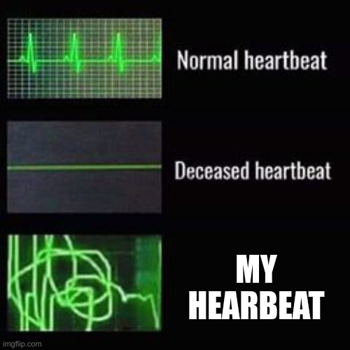 heartbeat rate | MY HEARBEAT | image tagged in heartbeat rate | made w/ Imgflip meme maker