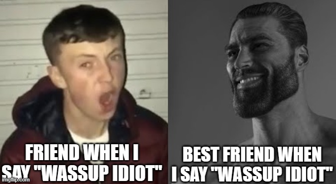 Facts- somehow ._. | FRIEND WHEN I SAY "WASSUP IDIOT"; BEST FRIEND WHEN I SAY "WASSUP IDIOT" | image tagged in average enjoyer meme | made w/ Imgflip meme maker