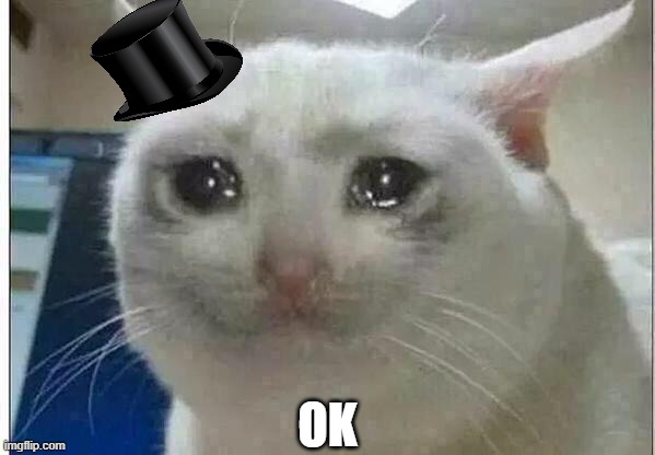 crying cat | OK | image tagged in crying cat | made w/ Imgflip meme maker