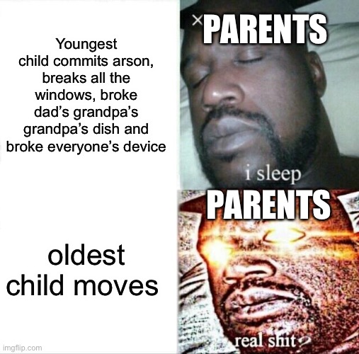 So relatable | PARENTS; Youngest child commits arson, breaks all the windows, broke dad’s grandpa’s grandpa’s dish and broke everyone’s device; PARENTS; oldest child moves | image tagged in memes,sleeping shaq,parents,oldest child,youngest child,so true | made w/ Imgflip meme maker