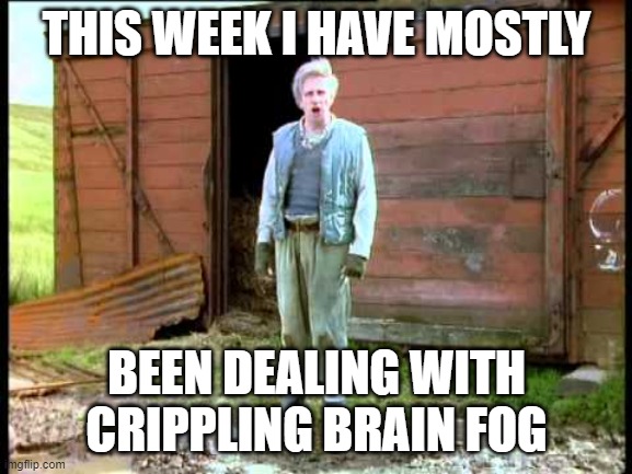 Jesse Fast Show | THIS WEEK I HAVE MOSTLY; BEEN DEALING WITH CRIPPLING BRAIN FOG | image tagged in jesse fast show | made w/ Imgflip meme maker