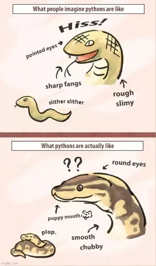 (Ophidiophobia warning!) dont be alarmed. | image tagged in snake | made w/ Imgflip meme maker