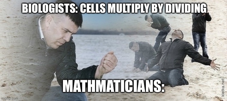 Sad guy beach | BIOLOGISTS: CELLS MULTIPLY BY DIVIDING; MATHMATICIANS: | image tagged in sad guy beach | made w/ Imgflip meme maker