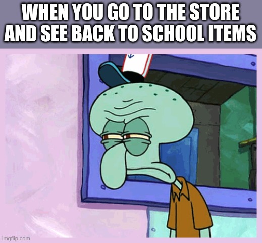 So annoying | WHEN YOU GO TO THE STORE AND SEE BACK TO SCHOOL ITEMS | image tagged in school sucks,annoying | made w/ Imgflip meme maker