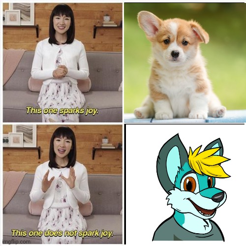 Regular animals are okay, BUT FURRIES ARE NO ACCEPTION!!!! | image tagged in marie kondo spark joy,anti-furry | made w/ Imgflip meme maker