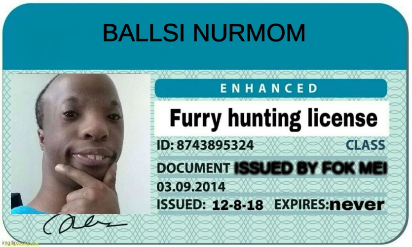 furry hunting license | BALLSI NURMOM; ISSUED BY FOK MEI | image tagged in furry hunting license | made w/ Imgflip meme maker