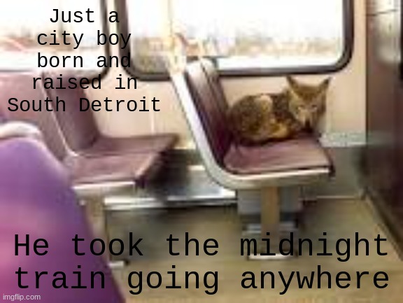 Just a city boy born and raised in South Detroit He took the midnight train going anywhere | made w/ Imgflip meme maker