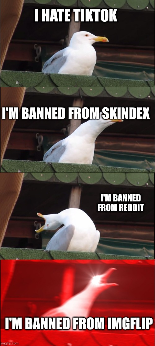 Inhaling Seagull Meme | I HATE TIKTOK; I'M BANNED FROM SKINDEX; I'M BANNED FROM REDDIT; I'M BANNED FROM IMGFLIP | image tagged in memes,inhaling seagull | made w/ Imgflip meme maker