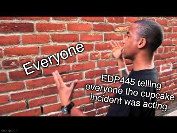 EDP will never get his career back | Everyone; EDP445 telling everyone the cupcake incident was acting | image tagged in brick wall guy,memes,funny memes,dank memes | made w/ Imgflip meme maker