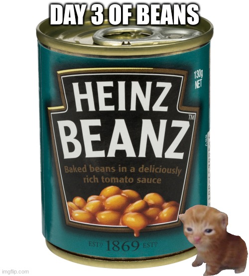 Day Tree of Beanz | DAY 3 OF BEANS | image tagged in can of beanz | made w/ Imgflip meme maker