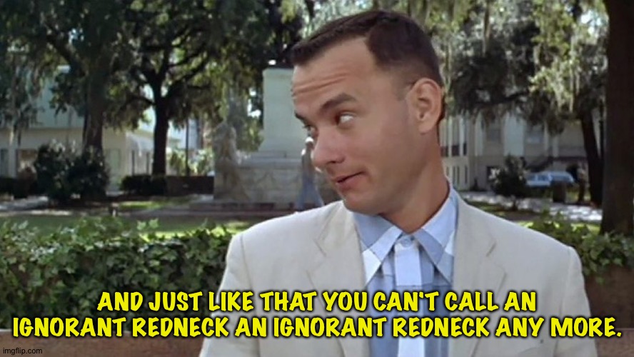 2-day timer | AND JUST LIKE THAT YOU CAN'T CALL AN IGNORANT REDNECK AN IGNORANT REDNECK ANY MORE. | image tagged in forrest gump face | made w/ Imgflip meme maker