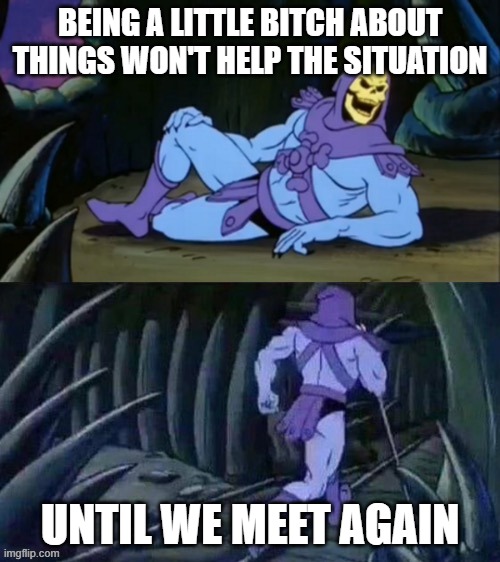 Don't be a little bitch | BEING A LITTLE BITCH ABOUT THINGS WON'T HELP THE SITUATION; UNTIL WE MEET AGAIN | image tagged in skeletor disturbing facts | made w/ Imgflip meme maker