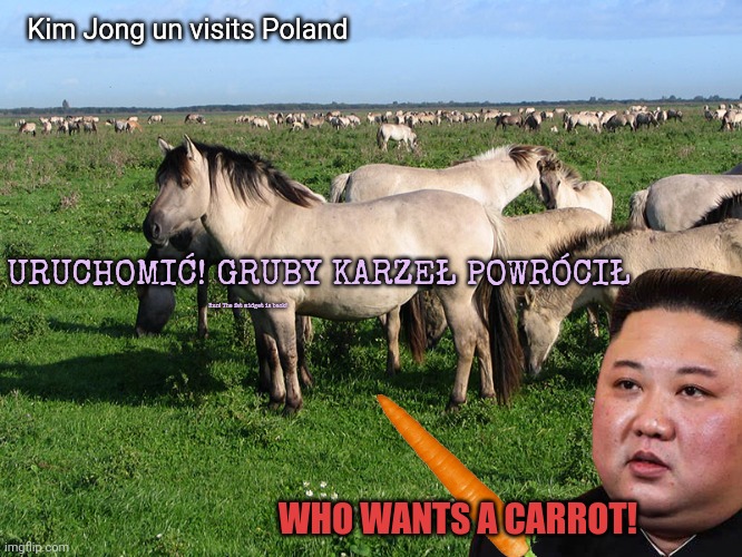 Run! The fat midget is back! WHO WANTS A CARROT! Kim Jong un visits Poland URUCHOMIĆ! GRUBY KARZEŁ POWRÓCIŁ | made w/ Imgflip meme maker