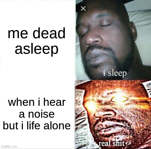 Sleeping Shaq | me dead asleep; when i hear a noise but i life alone | image tagged in memes,sleeping shaq | made w/ Imgflip meme maker