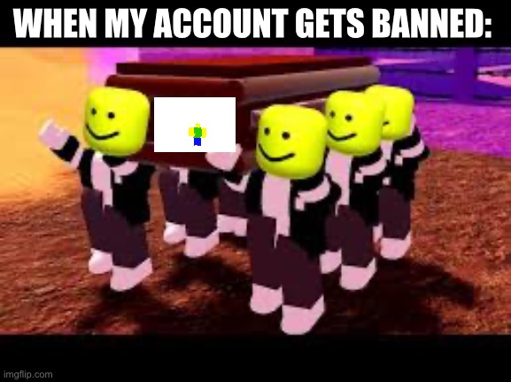 A meme | WHEN MY ACCOUNT GETS BANNED: | image tagged in roblox meme | made w/ Imgflip meme maker