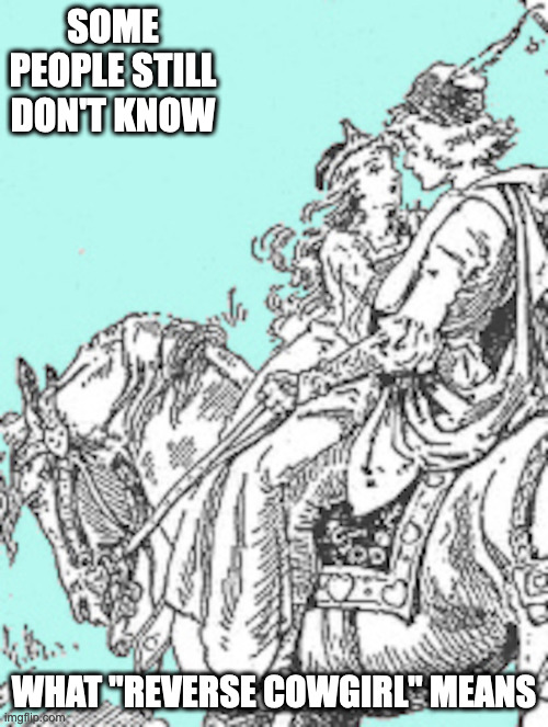 Horseback | SOME PEOPLE STILL DON'T KNOW; WHAT "REVERSE COWGIRL" MEANS | image tagged in horse,memes | made w/ Imgflip meme maker