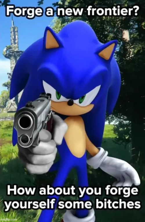 sonic forge some bitches | image tagged in sonic forge some bitches | made w/ Imgflip meme maker