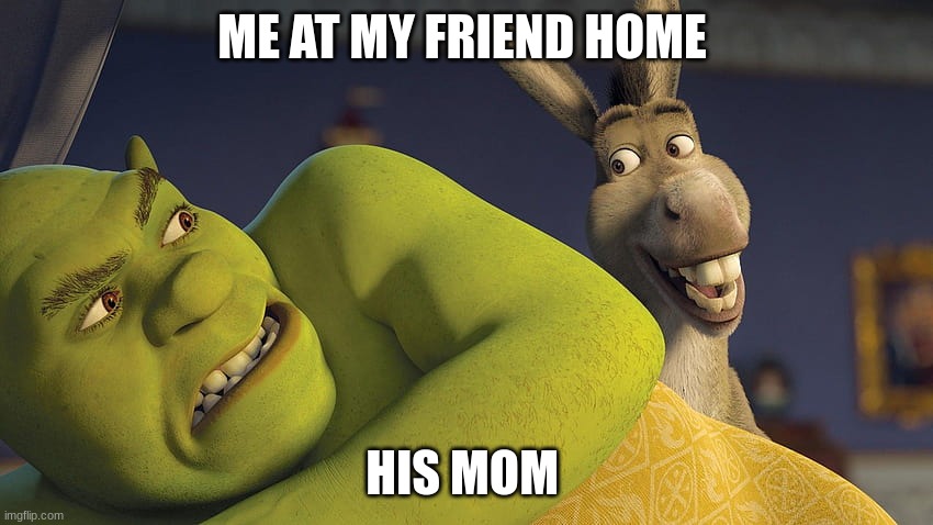 it fax | ME AT MY FRIEND HOME; HIS MOM | image tagged in its fine | made w/ Imgflip meme maker