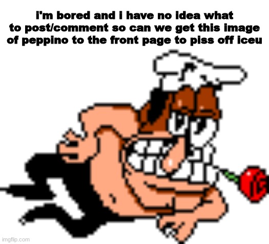sfsggggggggggggggggsgf | i'm bored and i have no idea what to post/comment so can we get this image of peppino to the front page to piss off iceu | made w/ Imgflip meme maker