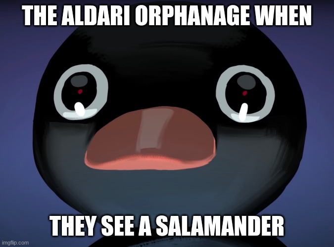 "no one can adopt them if they are gone"-salamander who sees a xenos orphanage | THE ALDARI ORPHANAGE WHEN; THEY SEE A SALAMANDER | image tagged in pingu stare | made w/ Imgflip meme maker