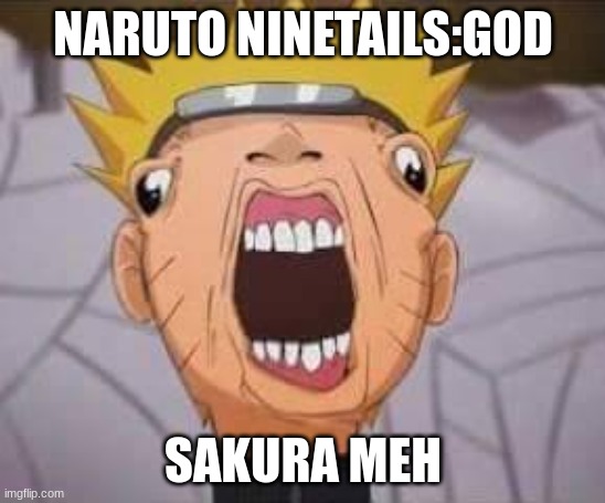 Naruto joke | NARUTO NINETAILS:GOD; SAKURA MEH | image tagged in naruto joke | made w/ Imgflip meme maker