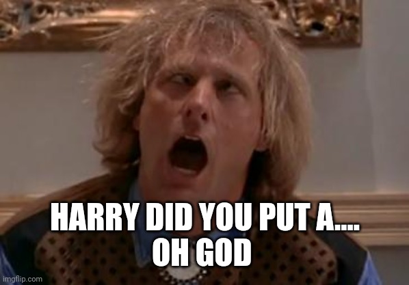 Dumb and Dumber | HARRY DID YOU PUT A....
OH GOD | image tagged in dumb and dumber | made w/ Imgflip meme maker