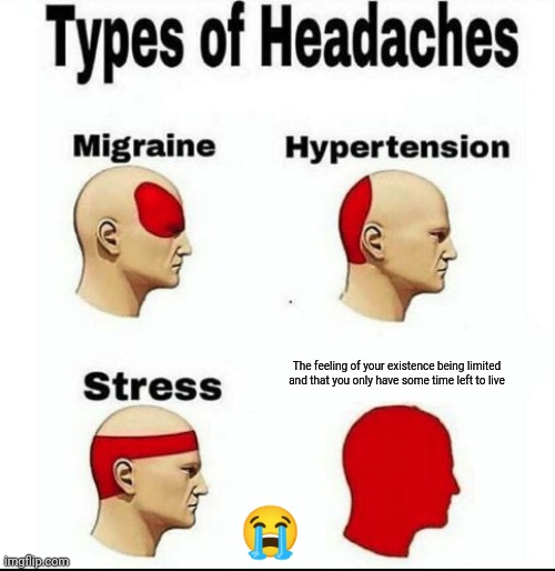 Types of Headaches meme | The feeling of your existence being limited and that you only have some time left to live; 😭 | image tagged in types of headaches meme | made w/ Imgflip meme maker
