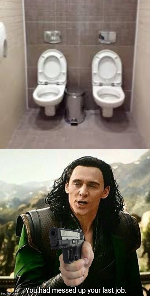 Messed up the toilets | image tagged in you had messed up your last job,memes,you had one job,funny | made w/ Imgflip meme maker