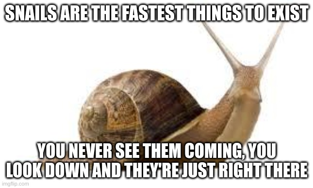 Snails are fast | SNAILS ARE THE FASTEST THINGS TO EXIST; YOU NEVER SEE THEM COMING, YOU LOOK DOWN AND THEY'RE JUST RIGHT THERE | image tagged in snail | made w/ Imgflip meme maker