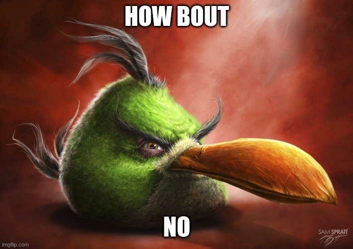 Realistic Angry Bird | HOW BOUT NO | image tagged in realistic angry bird | made w/ Imgflip meme maker