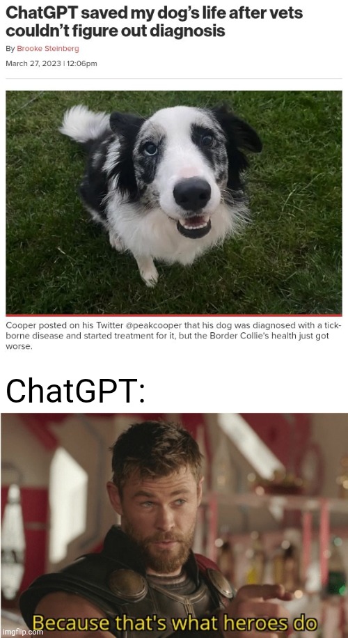 Heroic ChatGPT | ChatGPT: | image tagged in that s what heroes do,memes,dogs,dog,heroic,chatgpt | made w/ Imgflip meme maker