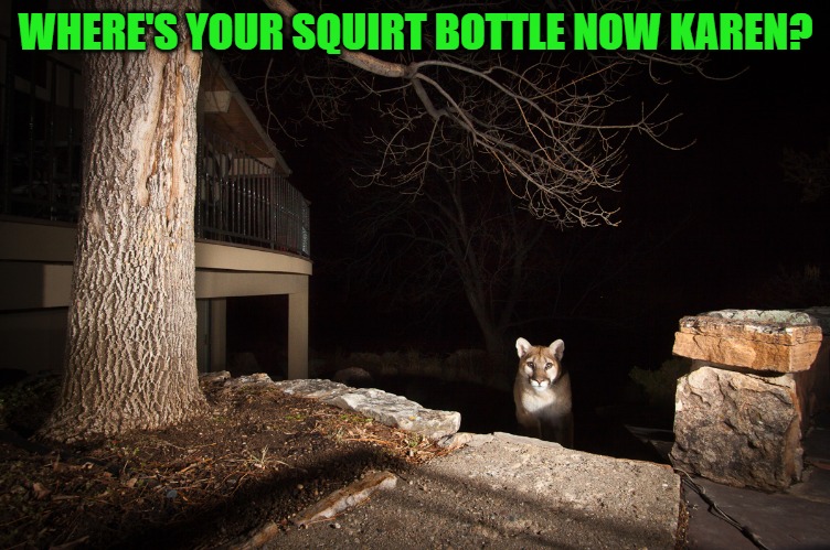 WHERE'S YOUR SQUIRT BOTTLE NOW KAREN? | made w/ Imgflip meme maker