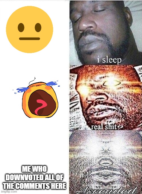 i sleep, REAL SHIT ,ASCENDED | ME WHO DOWNVOTED ALL OF THE COMMENTS HERE | image tagged in i sleep real shit ascended | made w/ Imgflip meme maker