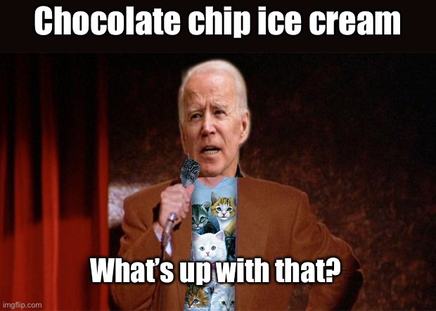 Joe is a stand up guy | Chocolate chip ice cream; What’s up with that? | image tagged in cat jerry seinfeld,politics lol,memes | made w/ Imgflip meme maker